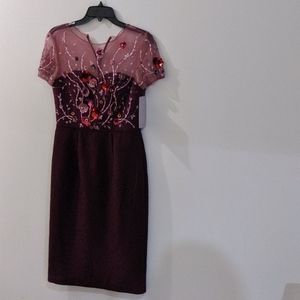 JS Collections Dress